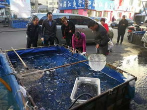 黑龙江省水产技术推广站工作组到佳木斯市开展水产品质量安全采样检测工作