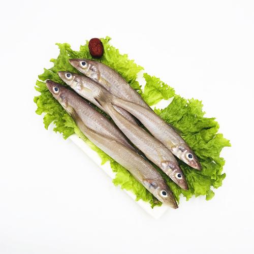 沙丁鱼新鲜冷冻野生深海鱼鲜活鱼类青岛海鲜水产宝宝辅食3斤包邮 - 图