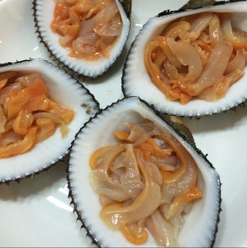 海鲜贝类鲜活赤贝新鲜大赤贝活蛤蜊野生毛蛤血蛤生吃刺身海鲜水产
