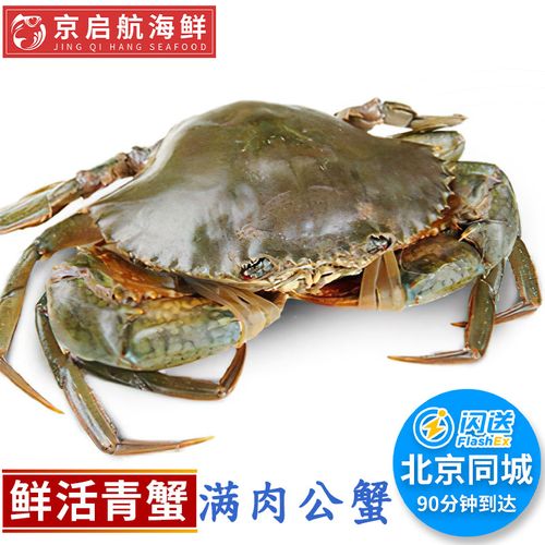 1斤1只 公青蟹 北京闪送 特大鲜活三门青蟹海蟹螃蟹肉蟹海鲜水产